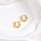 Charlotte Bold Hoops